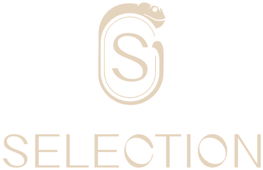 Selection — Restaurant | Lounge Bar | Wrocław